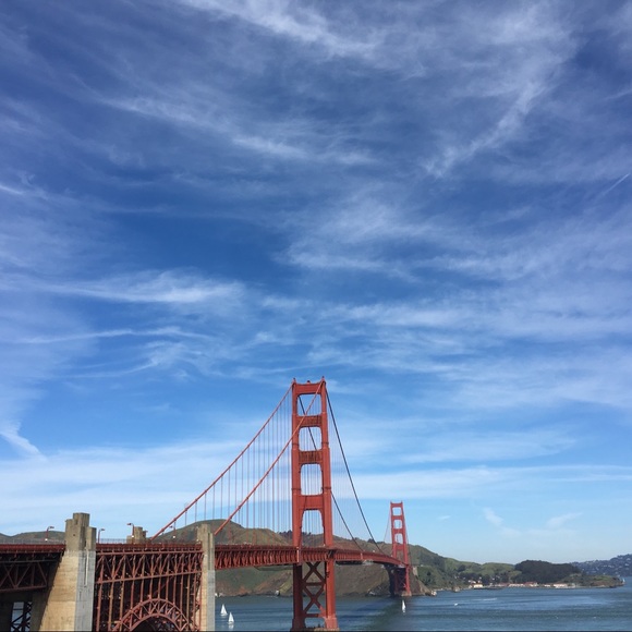 Meet your Posher, Ainsley - Picture 1 of 1